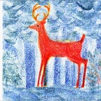 Grade 04 - Zoology - deer